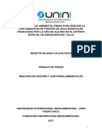 Proyecto Manejo Ambiental 2020.pdf