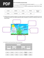 Retroalimentación Fotosintesis