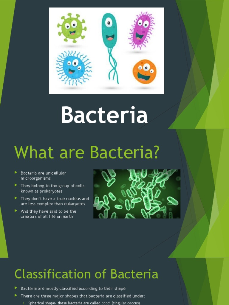Understanding Bacteria: Types and Structure | PDF