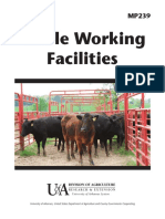 Cattle Working Facilities