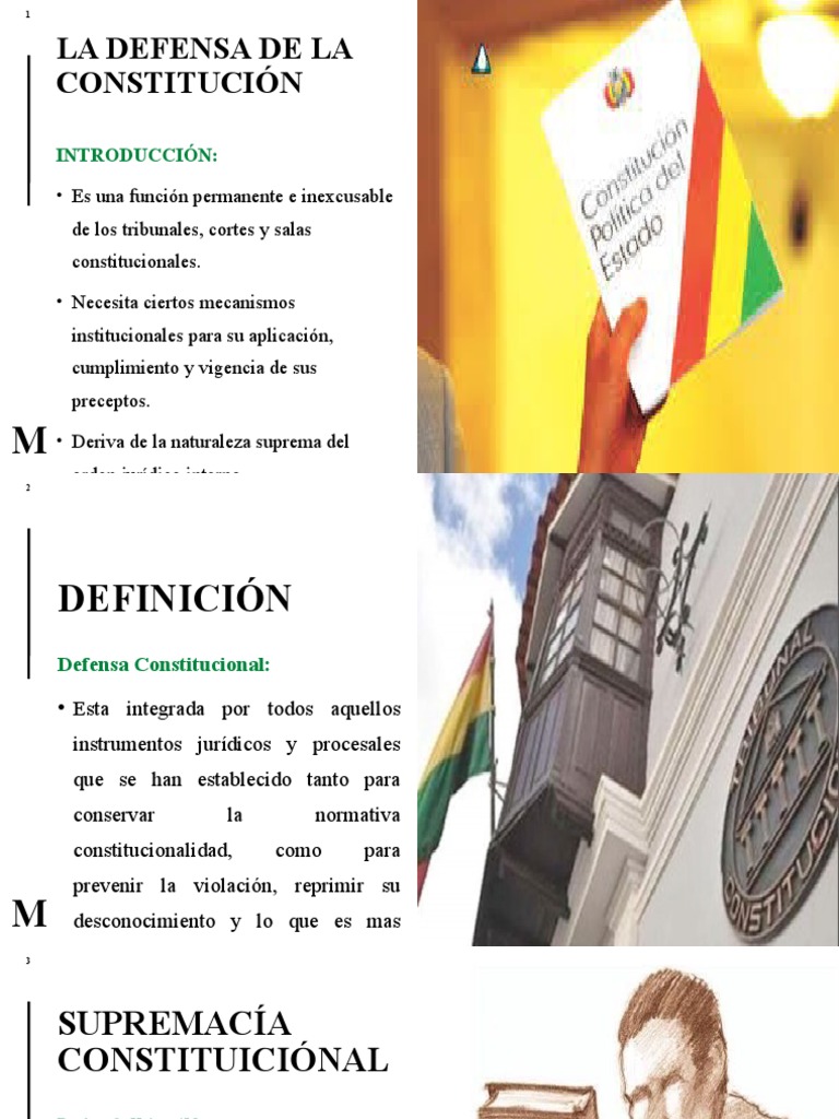 Defensa de La Constitucion PDF