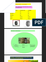 Teknologi Karet 1 PDF