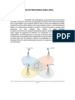 Monografía SFN y MFN