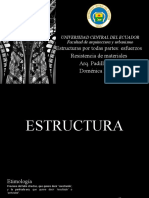 Estructura Esfuerzos Apoyos