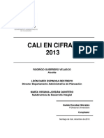 Caliencifras 2013