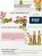 EXTENSION RURAL Y DESARROLLO COMPLETA.pptx