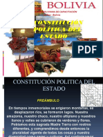 Constitución Política Del Estado I