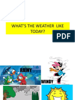 What'S The Weather Like Today?