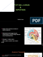 Hypothalamus Hipofise