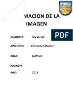 FORMACION DE LA IMAGEN.docx
