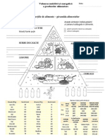 Piramida alimentelor_cls 5.docx