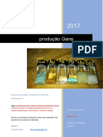 PROTOCOLO-PRODUÇÃO-DE-GANS-TRADUZIDO.pdf