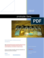 Protocolo Produção de Gans Traduzido PDF