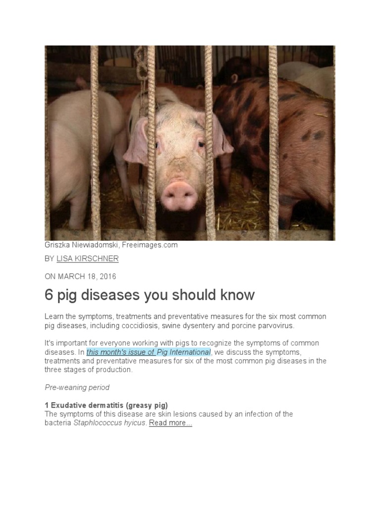 6 Common Pig Diseases Explained | PDF