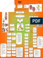 SPIDER-WEB-OF-PNEUMONIA (1).pdf