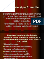 Porfirinele şi porfirinuriile.ppt