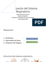 Clase 9. Organización Del Sistema Respiratorio y Mecánica Ventilatoria