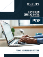 Curso Experto Derecho Digital