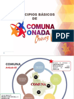 GUIA 1 MATERIAL COMPLEMENTARIO COMUNA-PRINCIPIOS BASICO