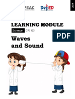 Learning Module: Waves and Sound