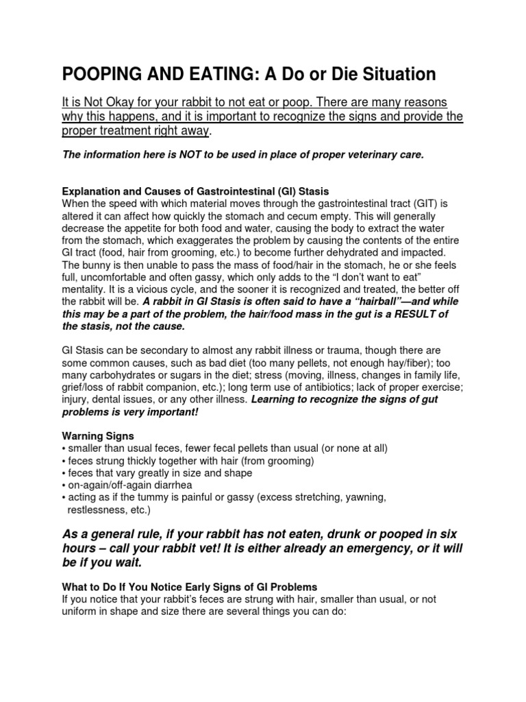 Pooping and Eating PDF | PDF | Rabbit | Gastrointestinal Tract