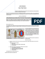 Taller Fisica V Maran