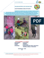 Municipalidad Distrital de Ccochaccasa: Estudio de Pre Inversion A Nivel de Pip Mayor