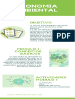 Infografia Economia Ambiental