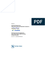 Decar Project Preliminary Economic Assessment PDF