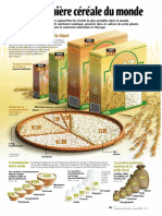 Infographie Carrefour - Le riz, première céréale du Monde