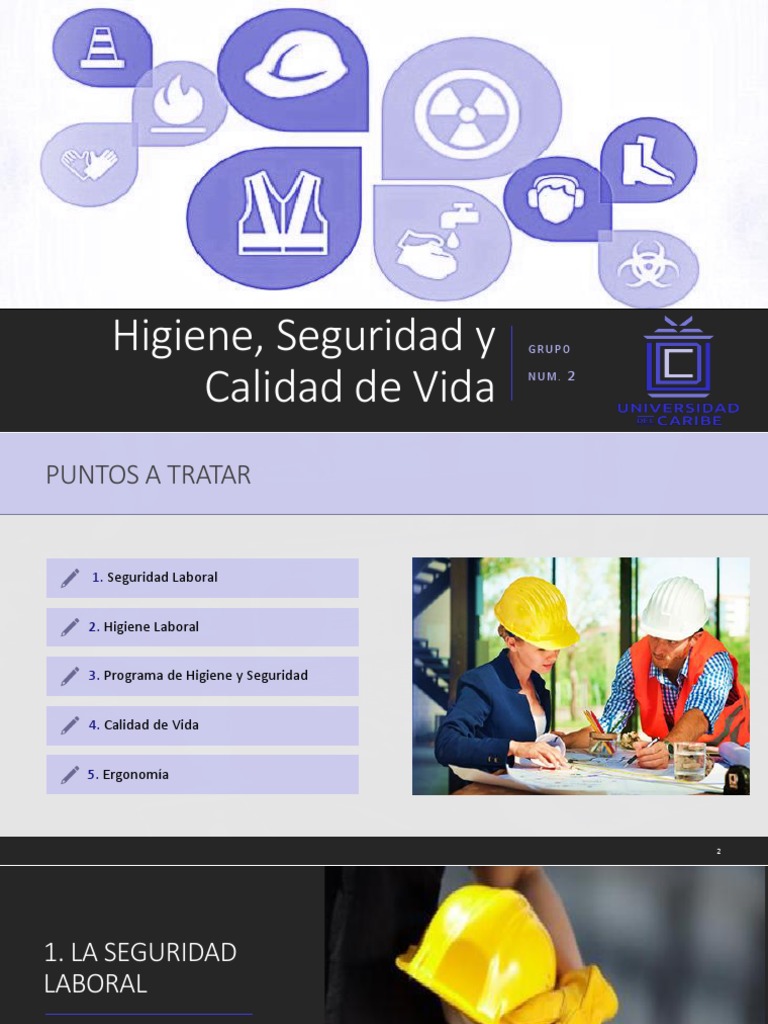 Higiene, Seguridad y Calidad de Vida GRUPO 2 PDF | PDF | Seguridad y ...