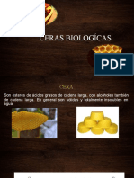 Ceras Biologicas