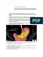 farmacos parael tratamiento s Ulceras Gastroduodenales.docx