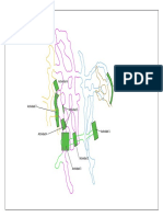 imrpimri_actividades_secuiencia.pdf