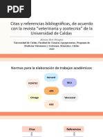 Pautas para La Realización de Citas y Referencias