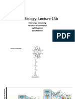 Cell Biology Lec No 3 Chloroplast Remaining Structure of Chlorophyll Light Reaction Dark Reaction