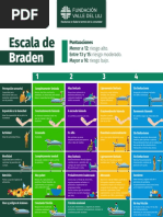 Escala de Bromage | PDF