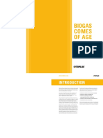 Biogas-document 1