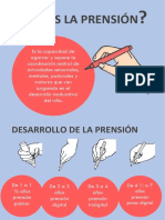 Desarrollo de La Prension Por Edades y Etapas