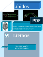 Lípidos