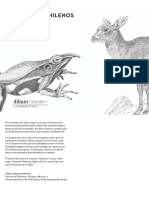 animales autóctonos en peligro para calcar y pintar Claudio Gay.pdf