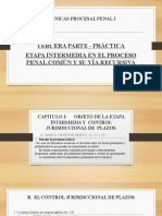 3 Clinica Procesal Penal I