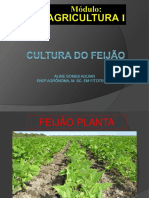11-08-23-culturadofeijao_2ªaula.pdf