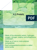 4.3 Proteins