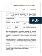 LIQUIDACIÓN-DE-SOCIEDAD-CONYUGAL-1.docx