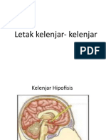 Letak Kelenjar