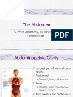 The Abdomen: Surface Anatomy, Muscles and Peritoneum