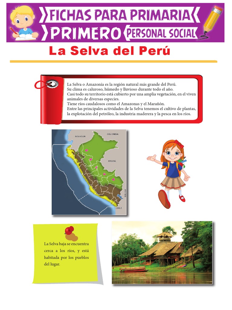La Selva Peruana Para Niños Pdf Selva Amazónica Selva 