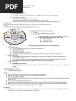 Cell Cycle and Mitosis