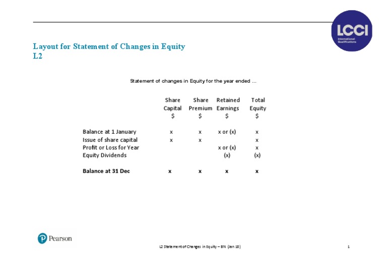 Statement of Changes in Equity Layout | PDF